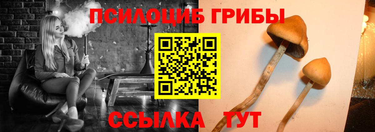 Псилоцибиновые грибы Psilocybine cubensis Дальнереченск